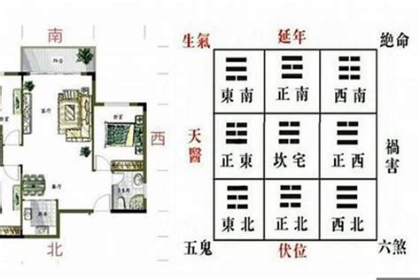 如何分辨青龙位|风水宝典：如何确定青龙位？